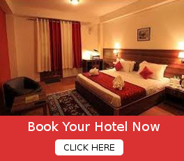 Customize Your Tour Package